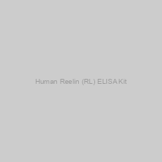 Image of Human Reelin (RL) ELISA Kit
